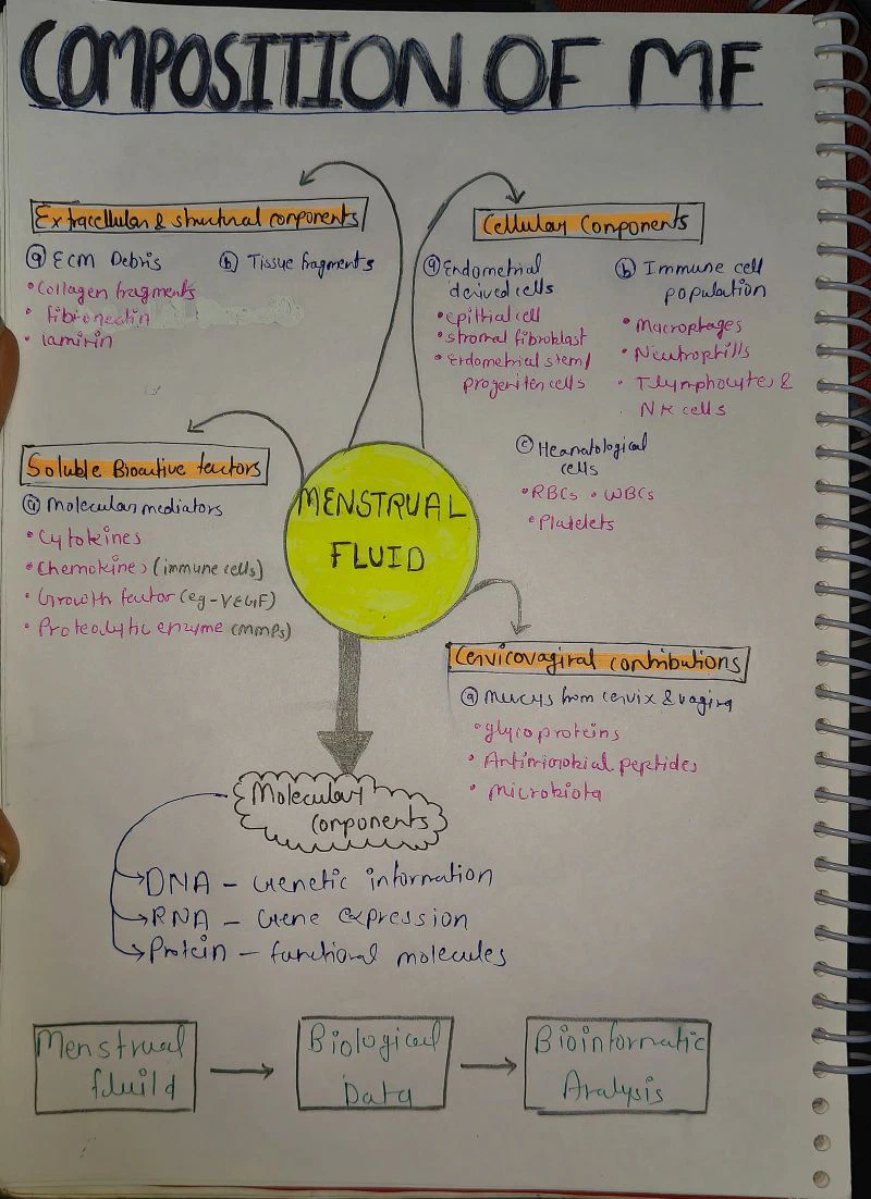 Handwritten Composition of Menstrual Fluid Diagram