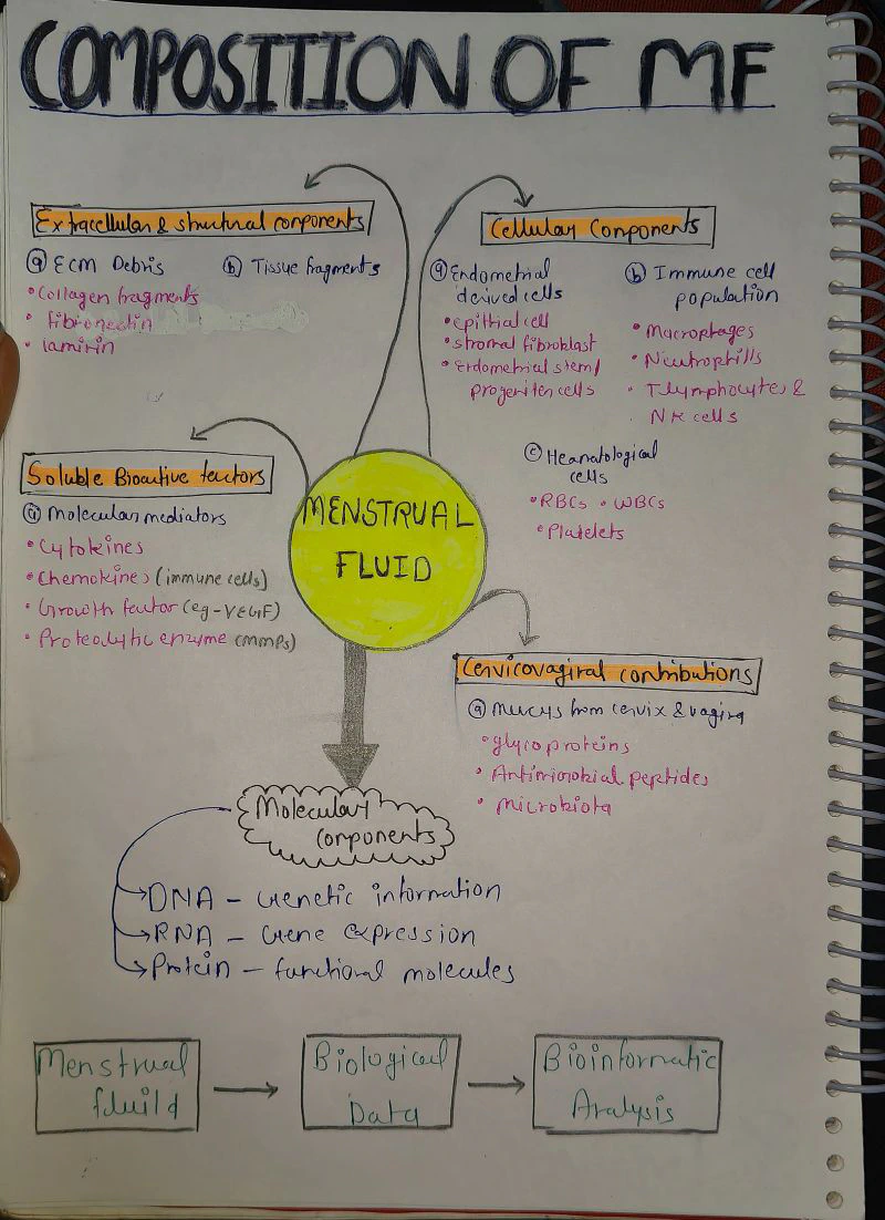 Handwritten Composition of Menstrual Fluid Diagram