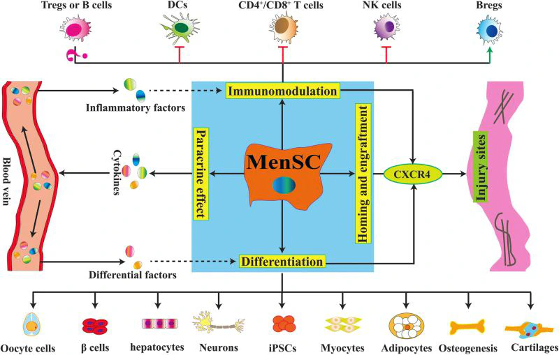 Gene Expression Heatmap Example